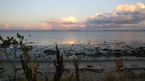 Yachthafen Maasholm — Photo 4