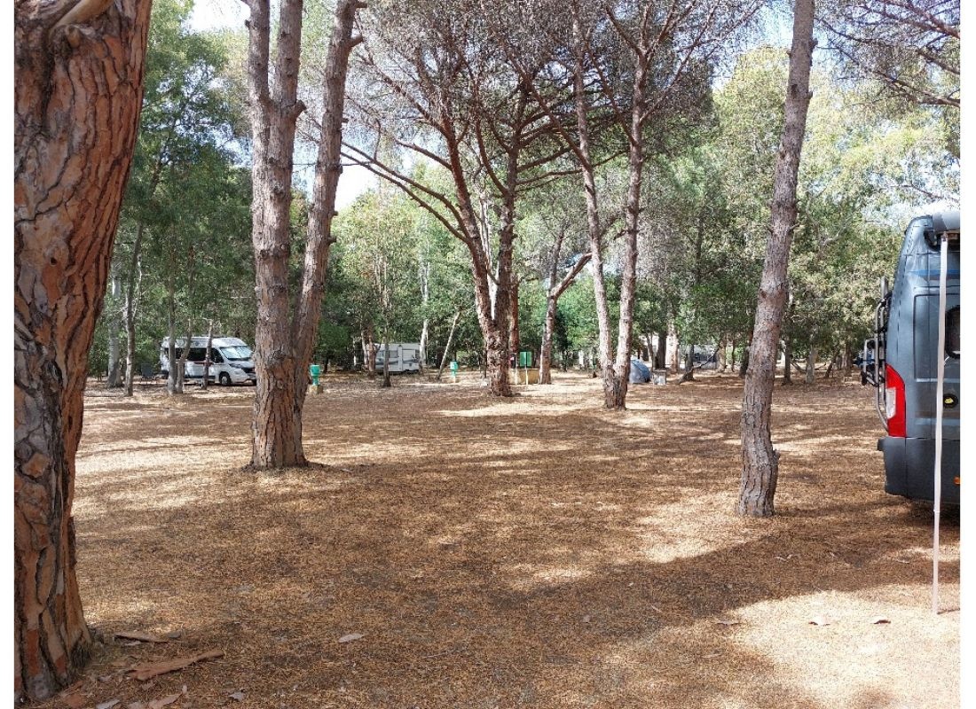Camping Bella Vista — Sítio de acampamento in Calvi / Corse