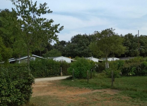 Flower Camping Gajan — Photo 2