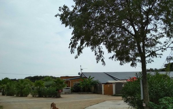 Flower Camping Gajan — Photo 3