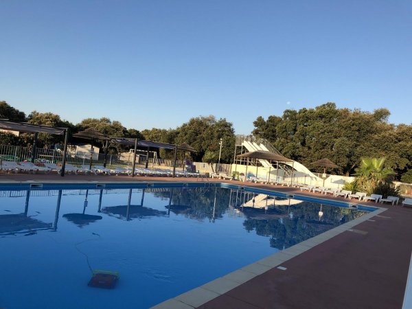 Flower Camping Gajan — Photo 4