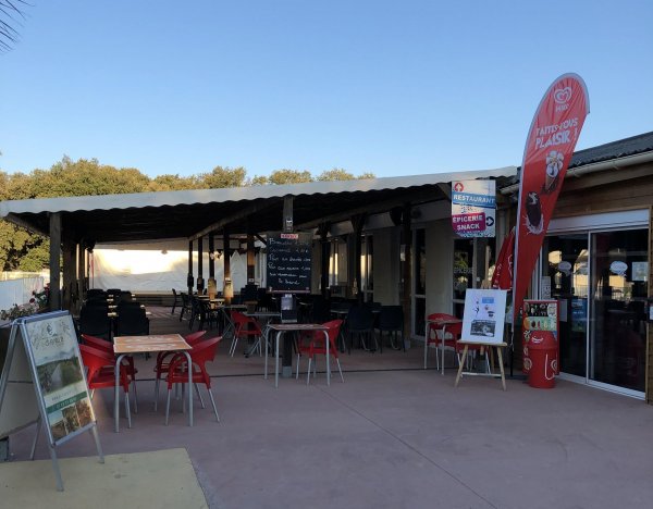 Flower Camping Gajan — Photo 6