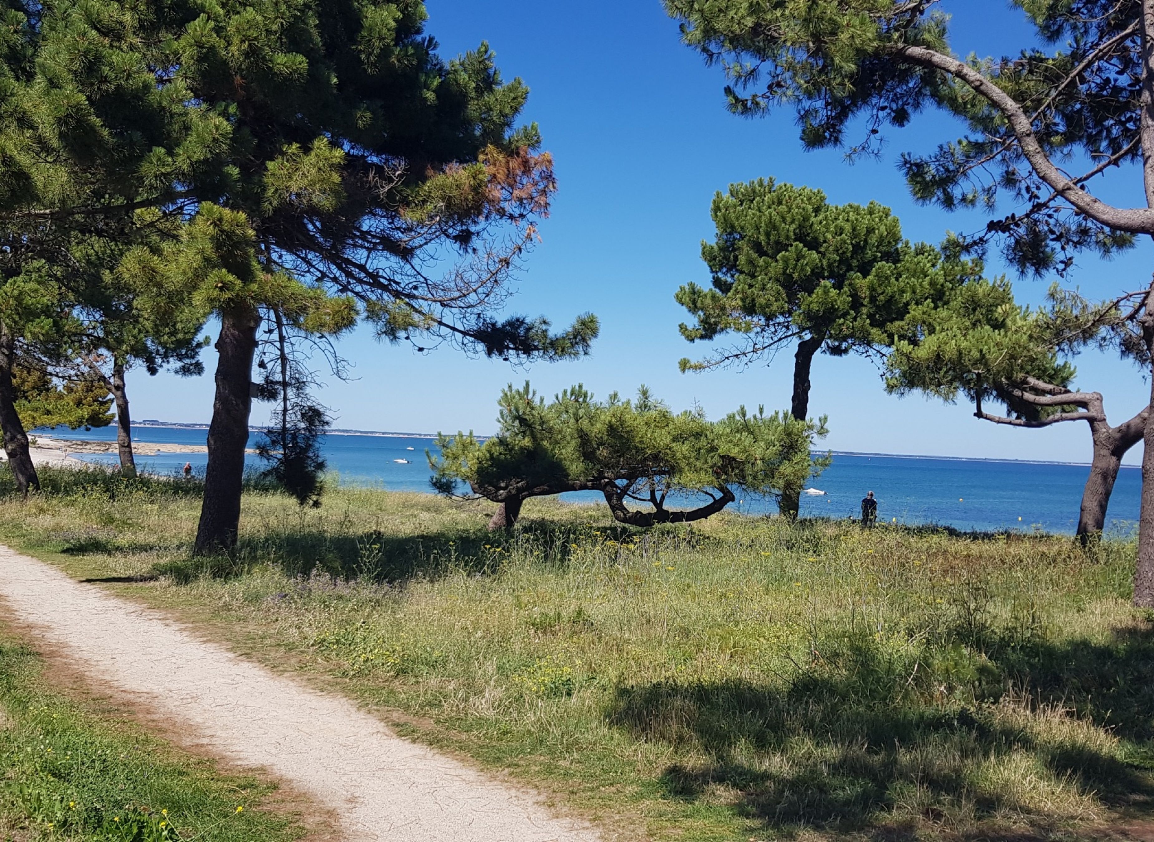 Camping Sauvage — Місце для кемпінгу in Quiberon / Bretagne