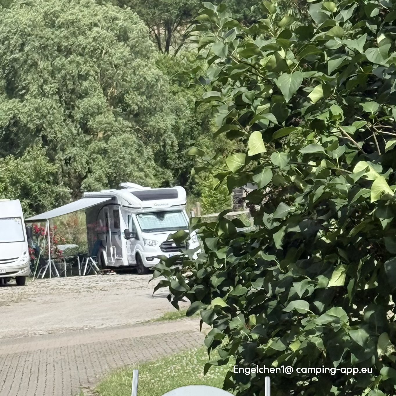 Stellplatz bei Weinbau Bach Röttingen — Foto 5