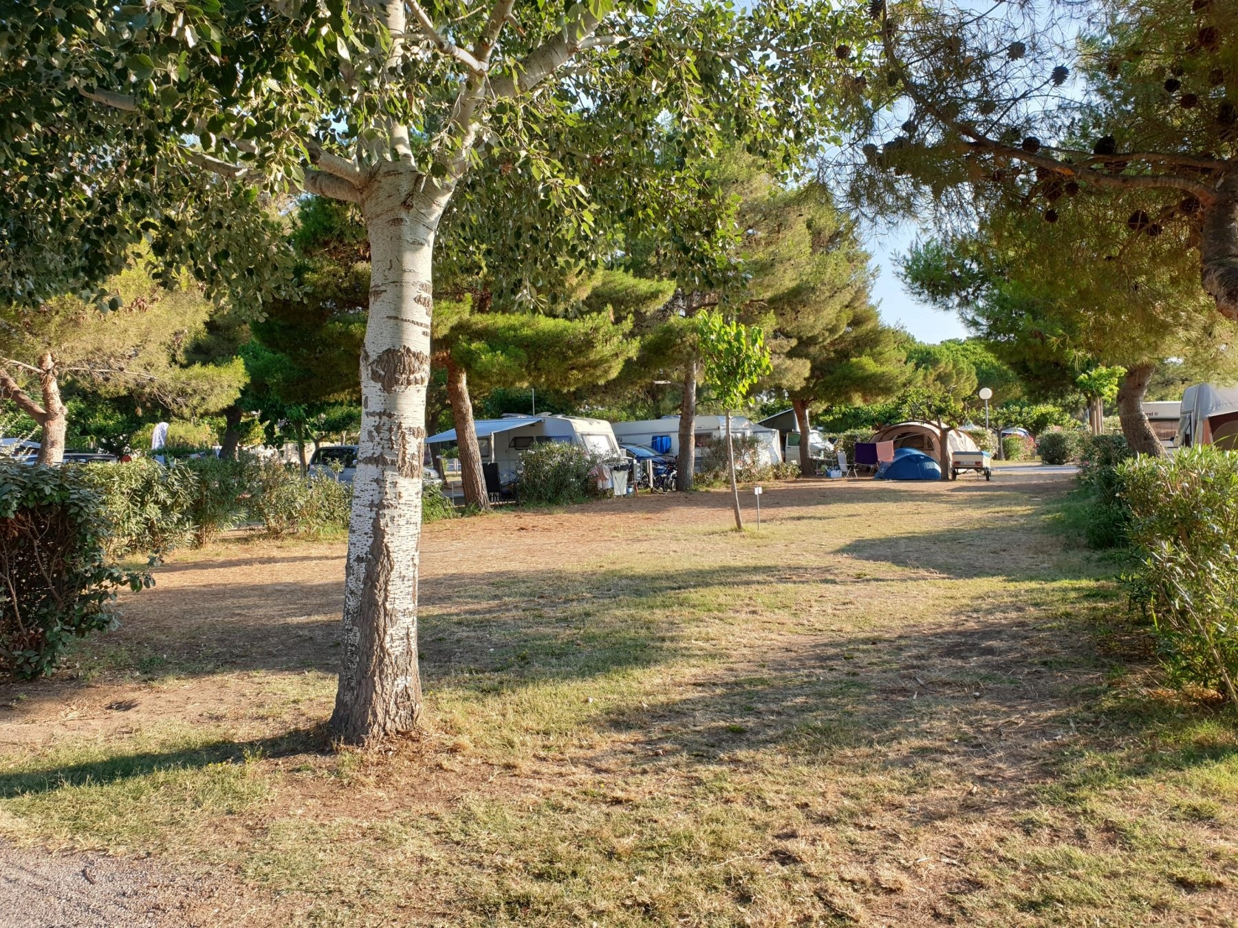 Camping Beau Rivage — Campingplass in Mèze / Grand Est