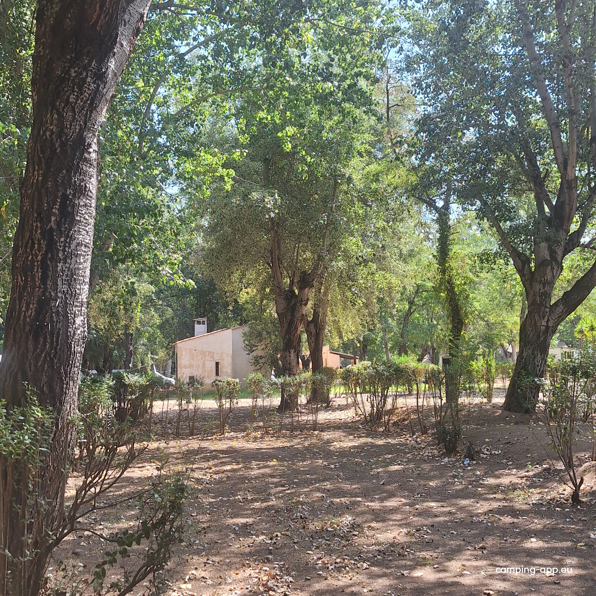 Camping Benista — Foto 4