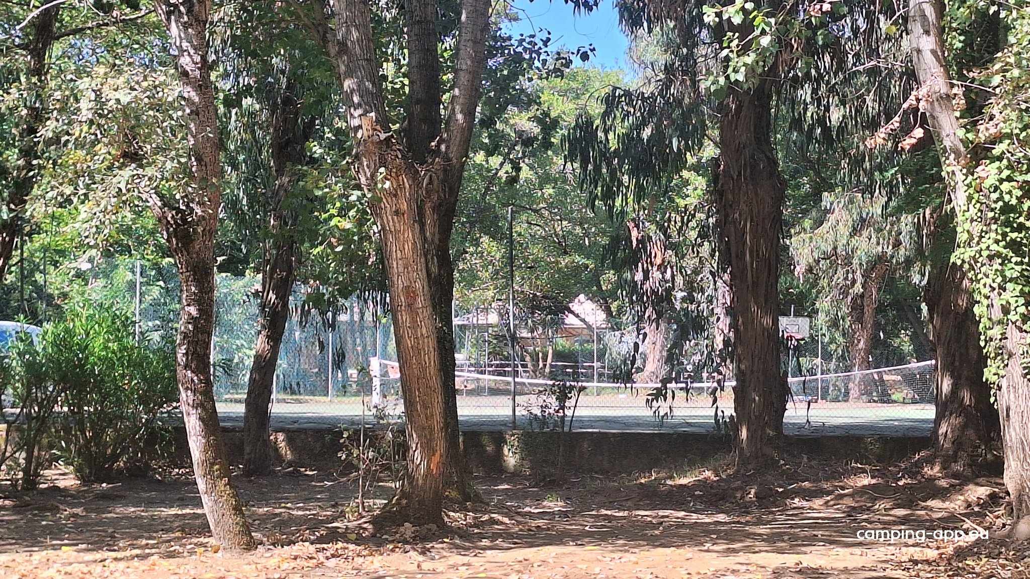 Camping Benista — Foto 3