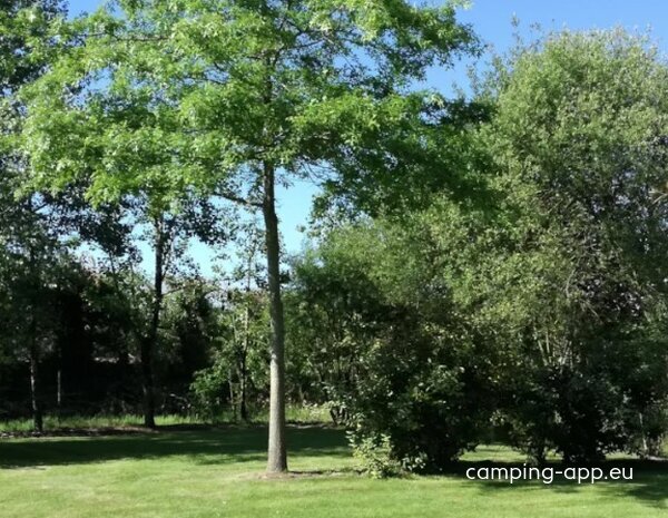 Camping Les Charmes **** — Zdjęcie 2