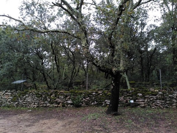 Camping Les Chênes — Kemping in Junas / Occitanie