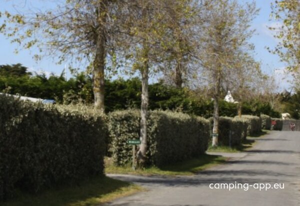 Camping le Caravan'île ***** — Fotoğraf 5
