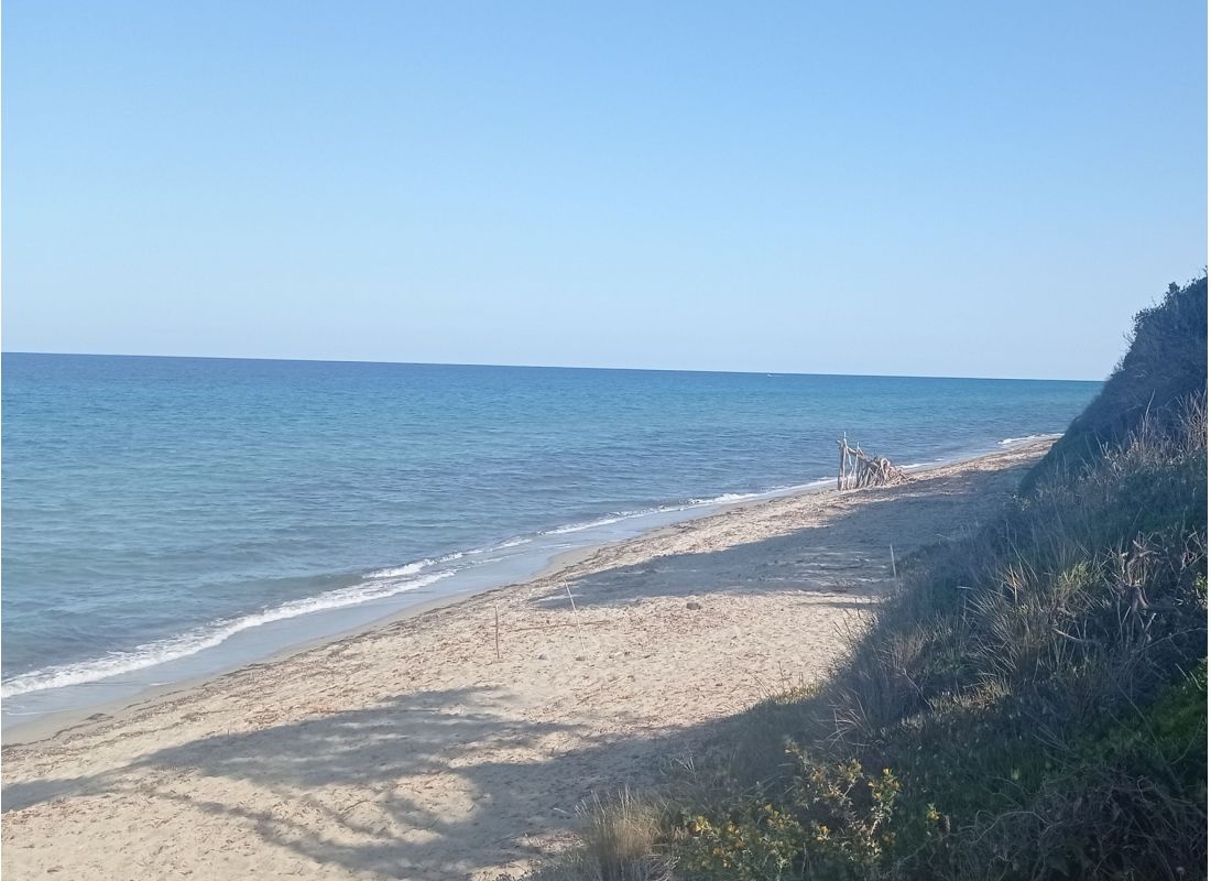 Camping Le Campoloro — Campingplass in Cervione / Corse