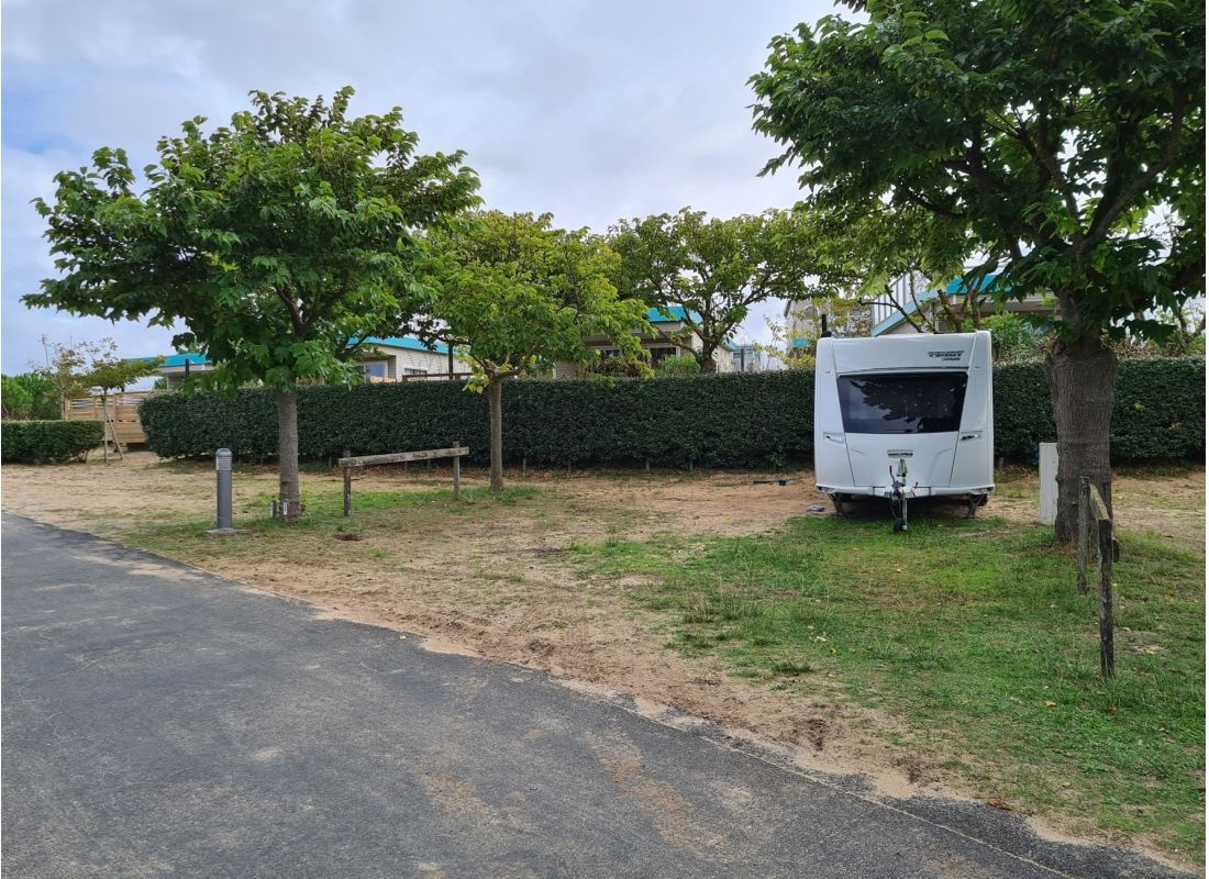 Camping Le Saint Martin ***** — Area da campeggio in Moliets-et-Maa / Nouvelle-Aquitaine