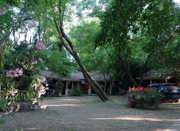 Camping U Prunelli — Photo 5