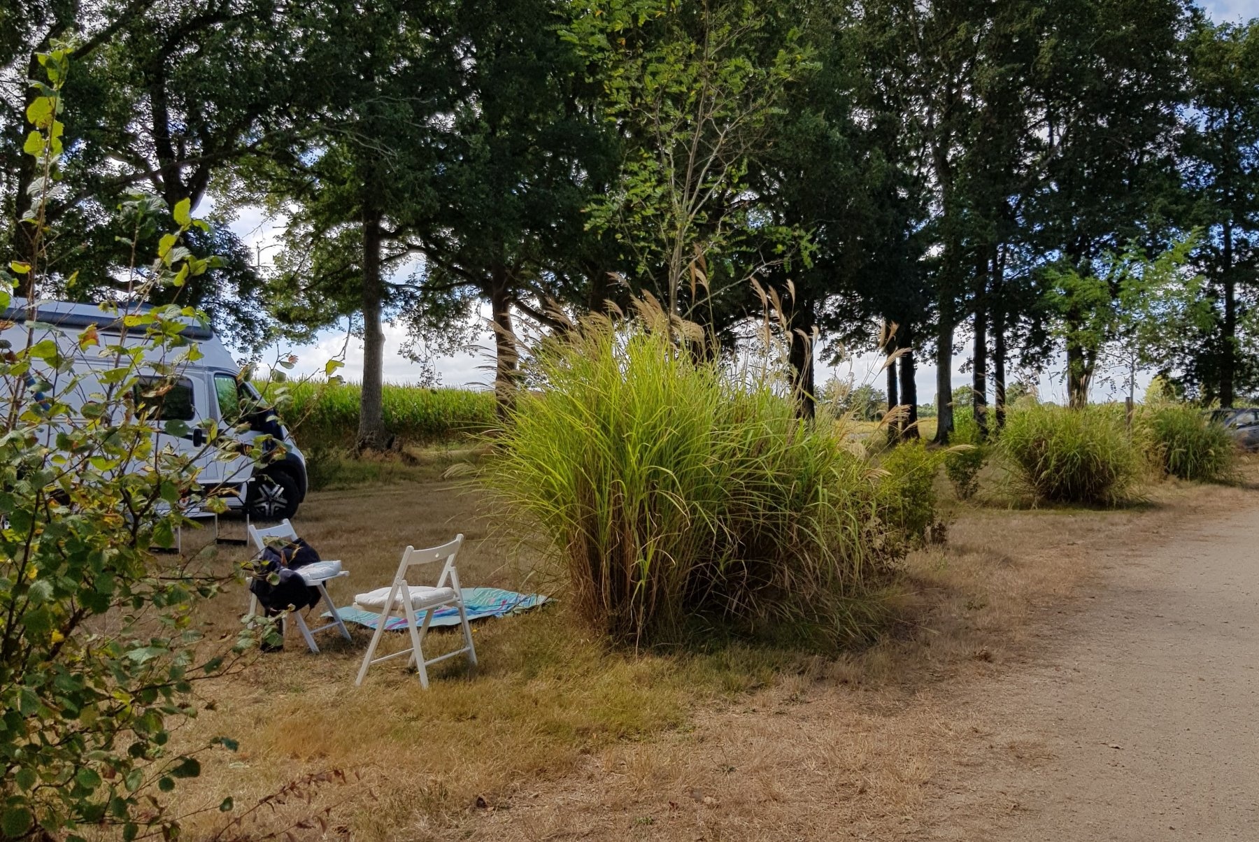 Camping Domaine de l'Oiselière — Camping Site in Chauché / Pays de la Loire