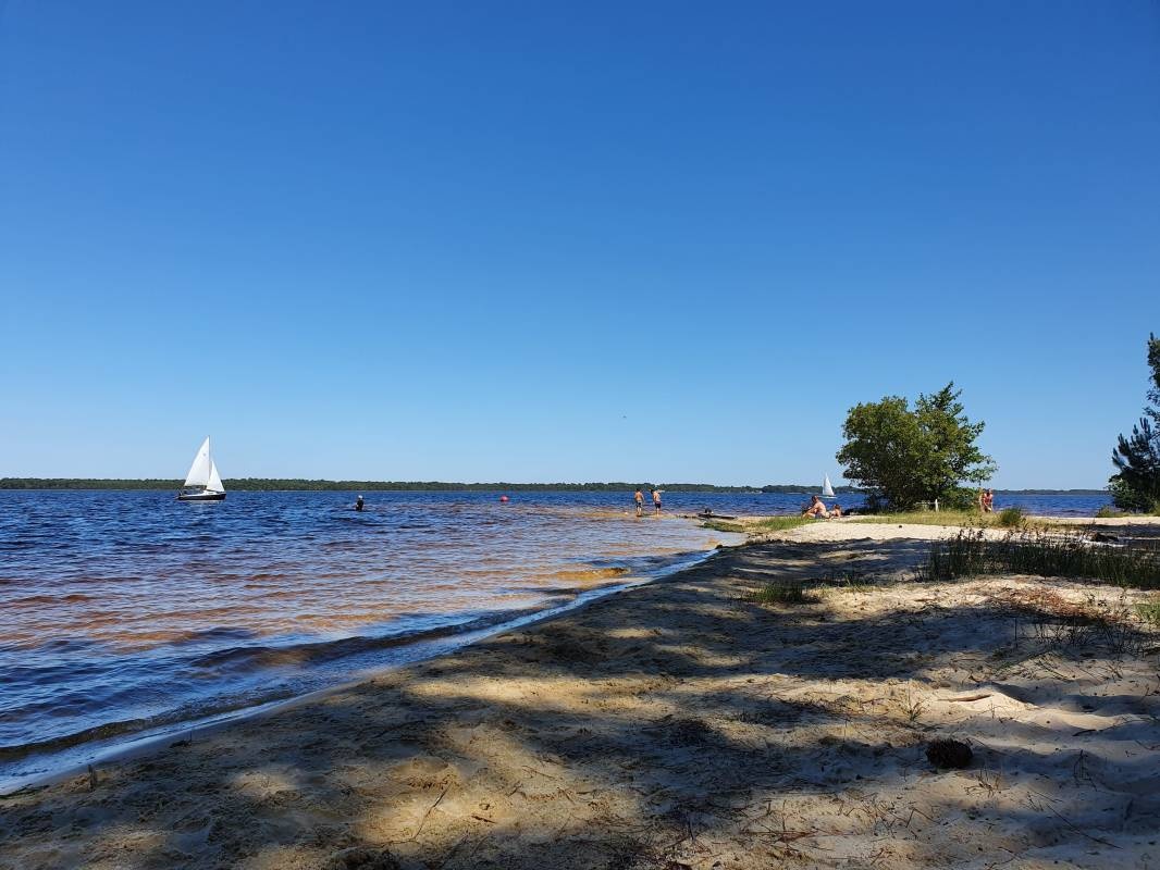 Camping Le Tedey **** — Kemp in Lacanau / Nouvelle-Aquitaine
