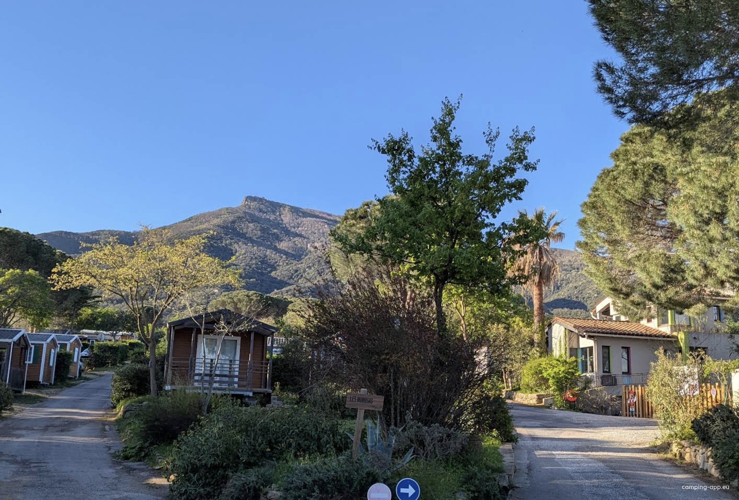 Camping Les Albères **** — Campingplatz in Laroque-des-Albères
