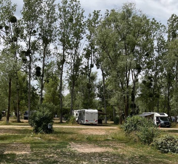 Camping Les Saules
