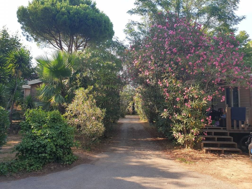 Camping les Pêcheurs — Kemping in Roquebrune-sur-Argens / Provence-Alpes-Côte d'Azur