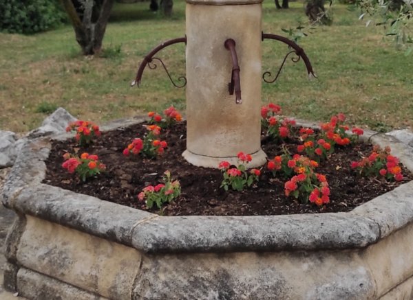 Camping Le Soleil Fruity — Photo 4