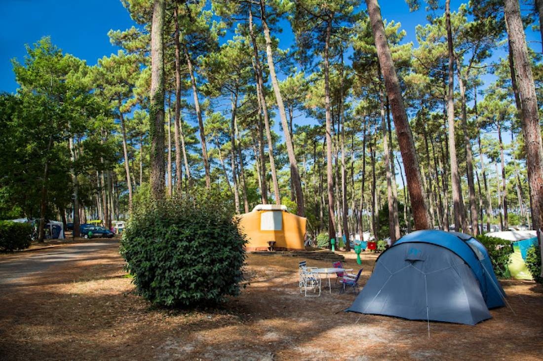 Camping Sunêlia les Oyats — Cámping in Seignosse / Nouvelle-Aquitaine