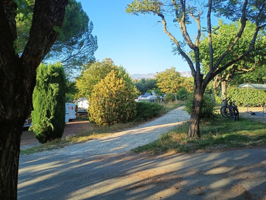 Camping Les Pins **** — Cámping in Les Salles-sur-Verdon / Provence-Alpes-Côte d'Azur