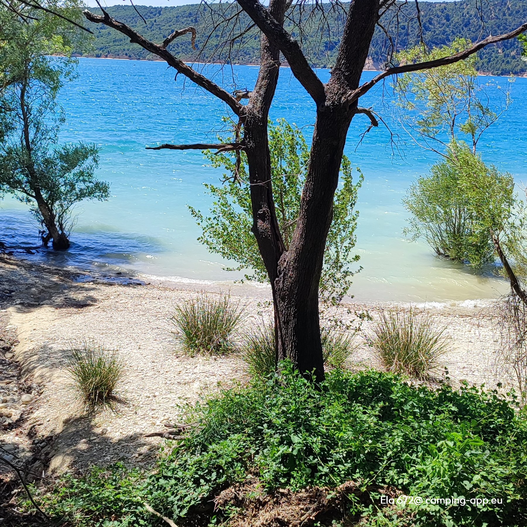 Camping Les Pins **** — Photo 2