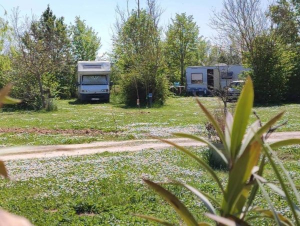 Camping Aici Sem Pla **