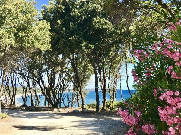 Bagheera Resort **** (Naturisten Camping) — Sítio de acampamento in Linguizzetta