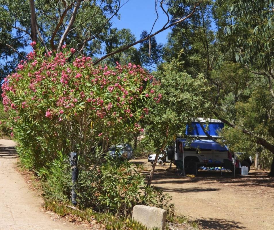 Camping Bella Vista *** — Camping Site in Porto-Vecchio