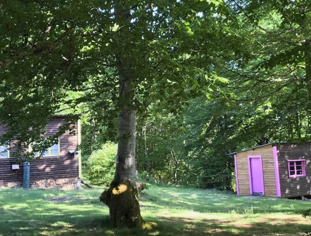 Camping Les Myrtilles *** — Campingplass in Saint-Nicolas-des-Biefs / Grand Est