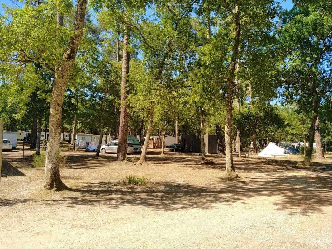 Camping municipal Villandraut — Camping Site in Villandraut / Nouvelle-Aquitaine