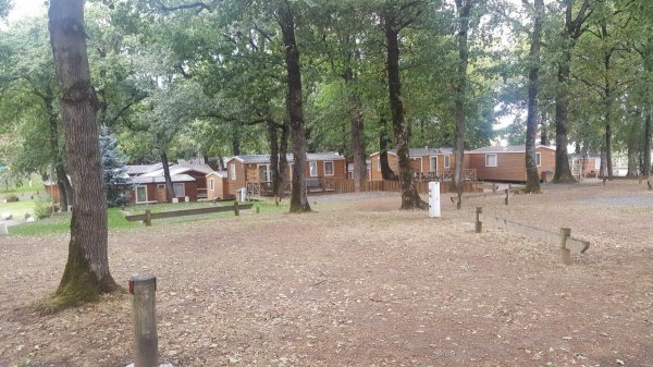 Albirondack Park - Camping Lodge & Spa **** — Photo 2