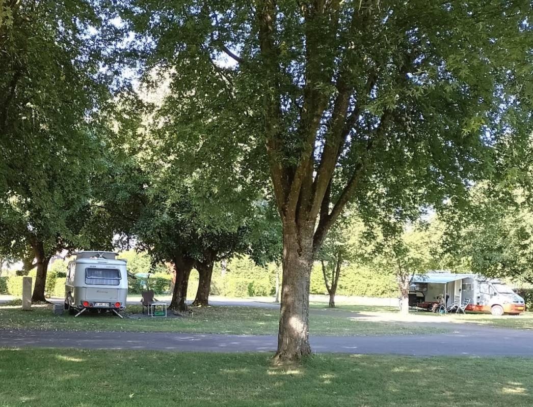 Camping La Clochette — 露营地 in Salornay-sur-Guye