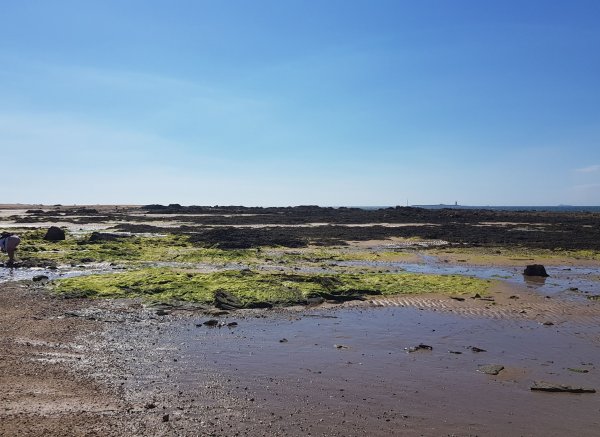 Camping la Pointe — Photo 6