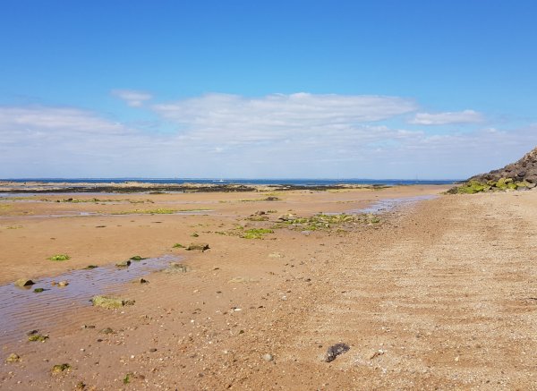 Camping la Pointe — Photo 5