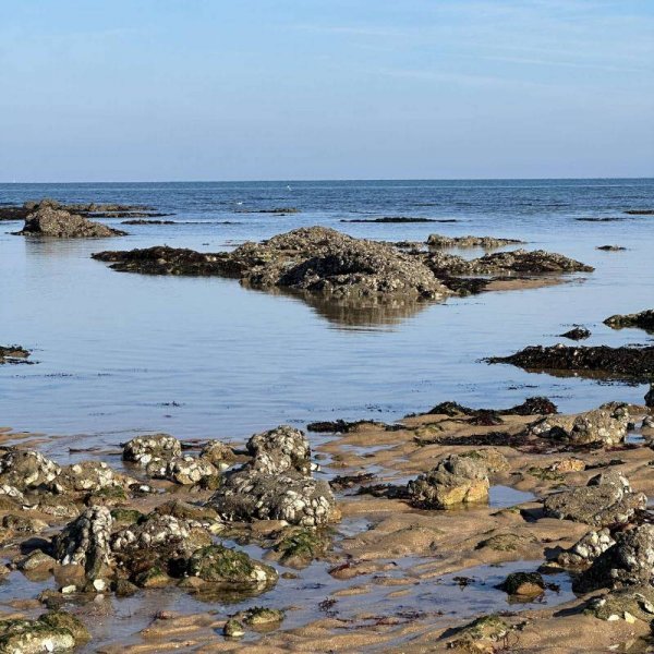 Camping la Pointe — Foto 4