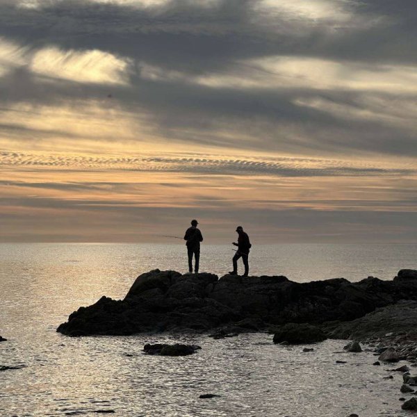 Camping la Pointe — Foto 5