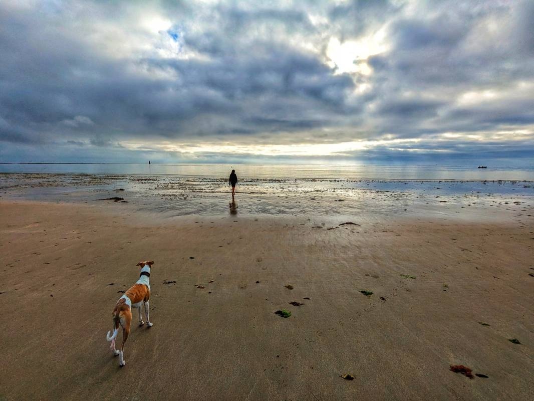 Camping Municipal *** — Campingplass in Reville / Normandie