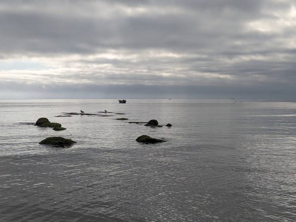 Camping Municipal *** — Photo 3