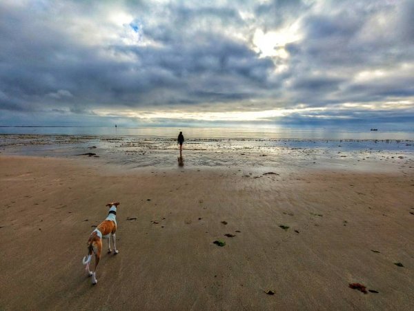 Camping Municipal ***