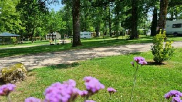 Camping Le Bois De Sophie *** — Photo 2