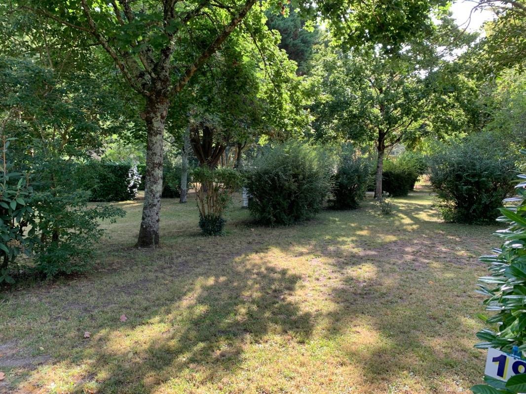 Camping Municipal Les Bords De La Seugne — Kamp yeri in Mosnac