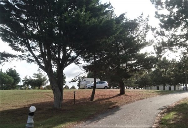 Camping Municipal Les Dunes — Photo 3