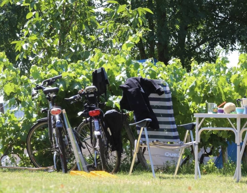 Camping Grésillons *** — Campingplats in Saint-Georges-sur-Layon 