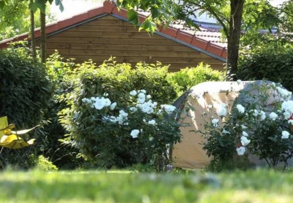 Camping Grésillons *** — Photo 2