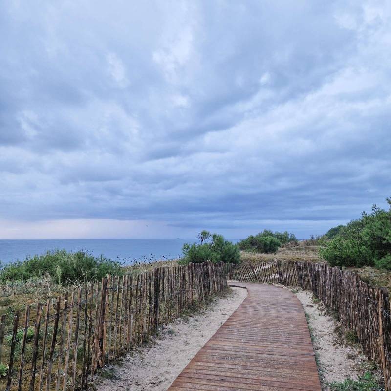 Camping Municipal Le Remondeau *** — Camping in La Couarde-sur-Mer / Nouvelle-Aquitaine