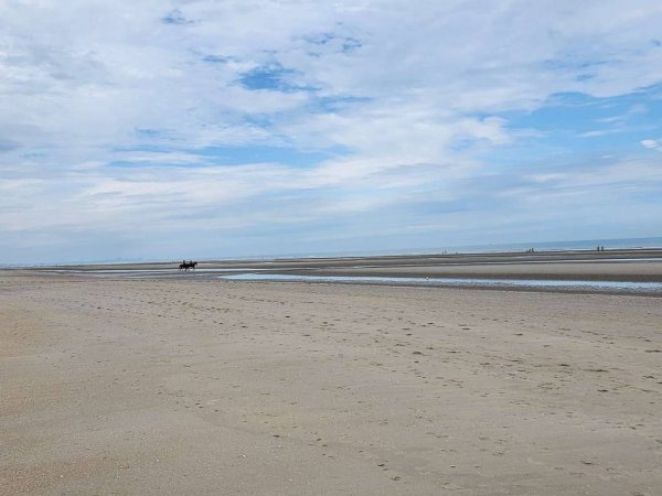 Camping Club Perroquet