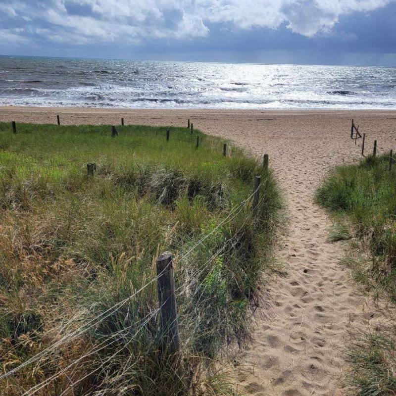 La Plage de Riez — Campingplats in Saint-Hilaire-de-Riez / Pays de la Loire