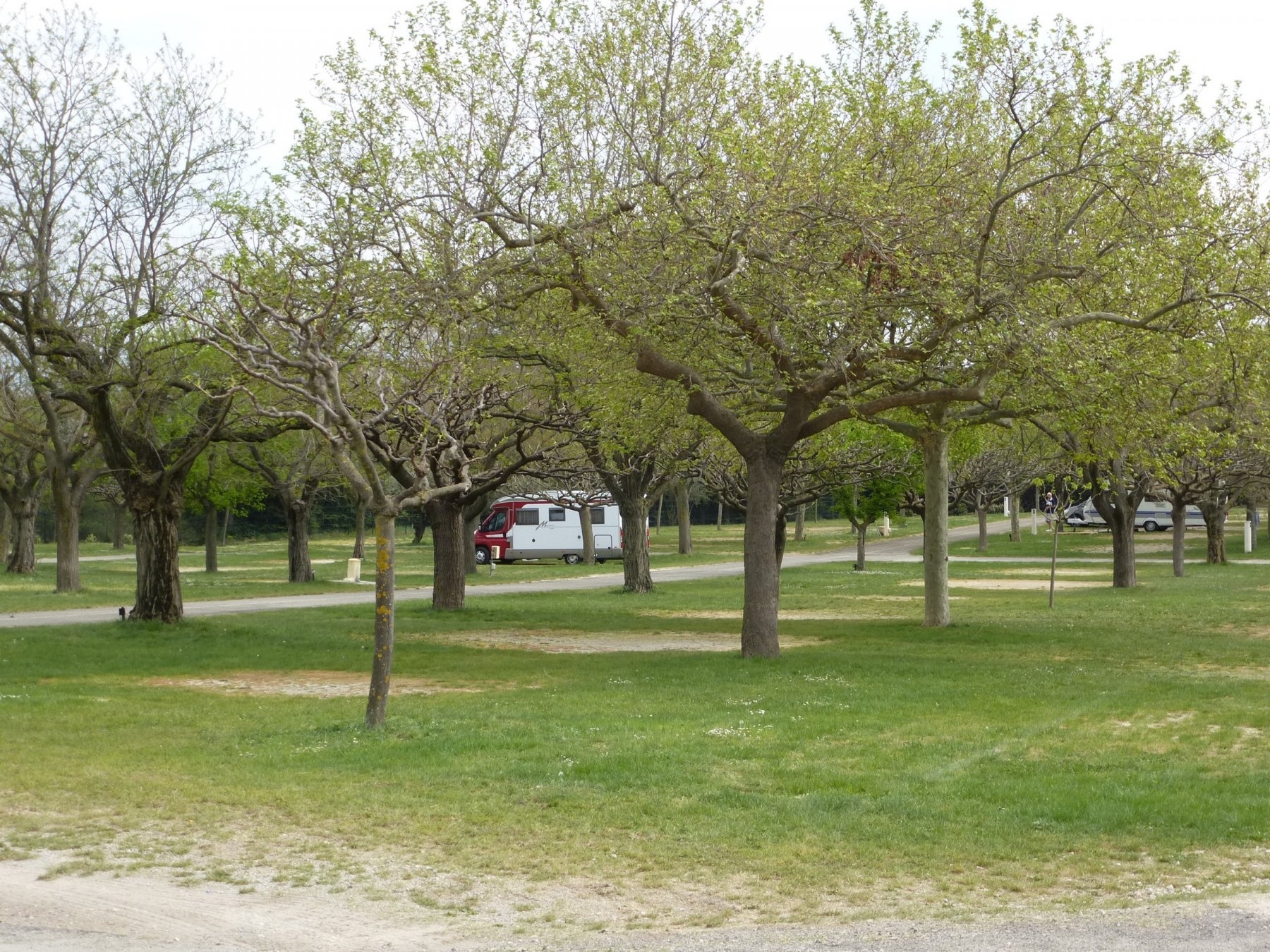Camping Municipal — Campingplats in Vinsobres / Auvergne-Rhône-Alpes