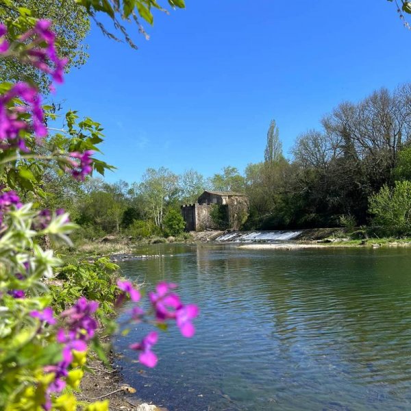 Camping Le Mas De Rome ** — Photo 2